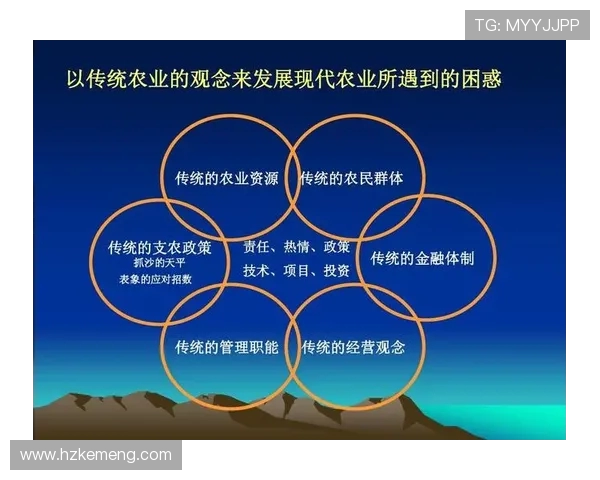 广州网球队与武汉网球队赛后技术分析与战术对比探讨